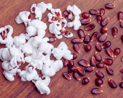 organic vermont grown red popcorn