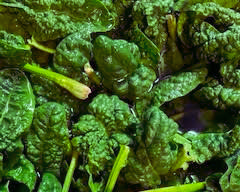 large leaf vermont spinach