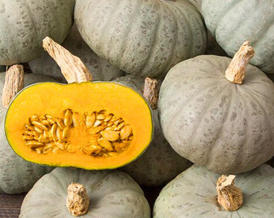 organic vermont grown winter sweet kabocha