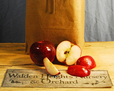 organically vermont grown liberty apples