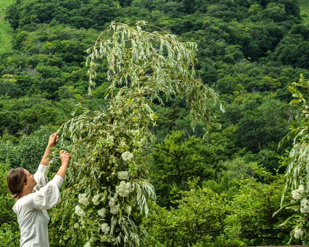 Danika of Blomma Flicka Flowers Vermont