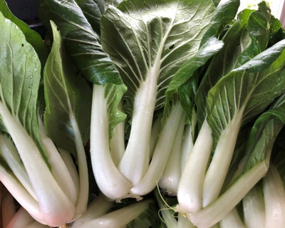 organic vermont grown big bok choi