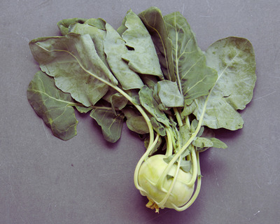kohlrabi organic vermont
