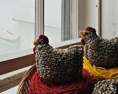 wool pocket hen