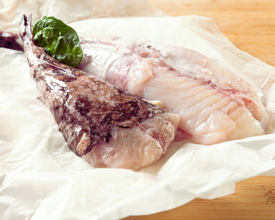 monkfish fresh 