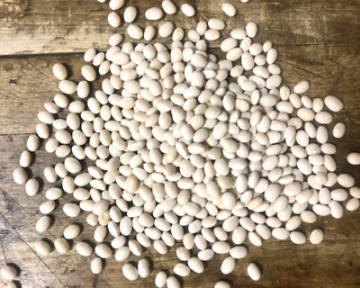 organic navy beans