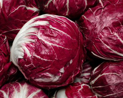 organic vermont grown radicchio