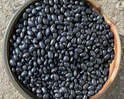 organic black beans