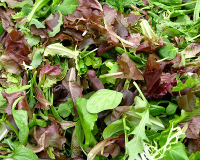 organic vermont grown winter mesclun