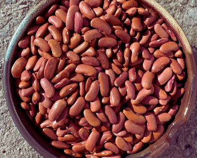 light red organic kidney beans