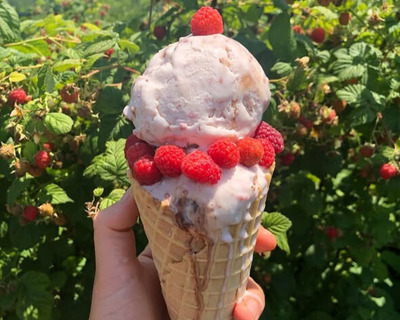 raspberry beret ice cream
