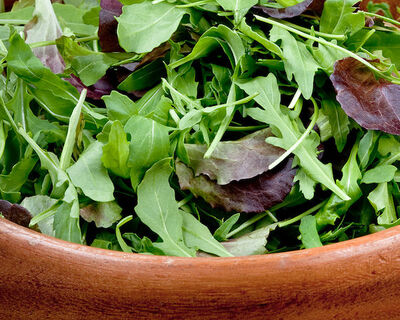 organic vermont grown mesclun salad mix