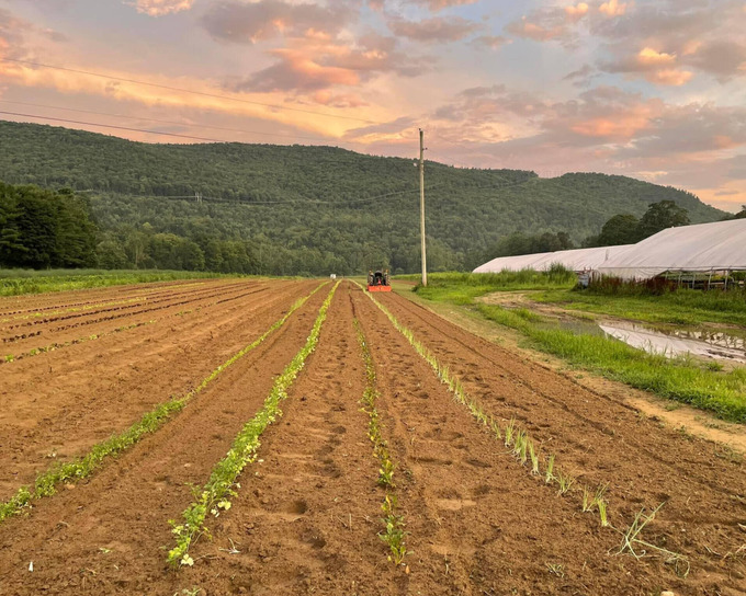 dutton berry farm, vermont