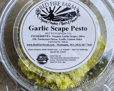 farm made garlic scape pesto