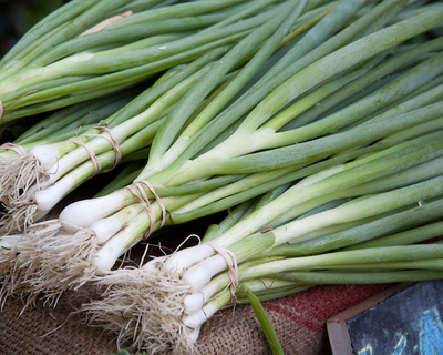 organic vermont grown scallions