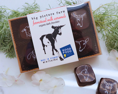 box o chocolate covered sea salt and vanilla goat milk caramels