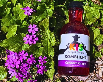 concord grape kombucha vermont