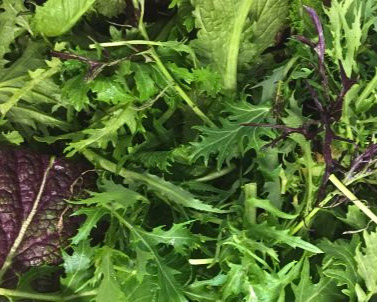 organic vermont grown braising mix
