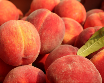 yellow peach