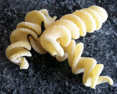 organic ny fusilli bulk bag