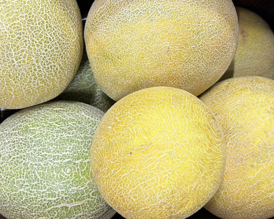 ripe massachuesetts grown honeydew melon