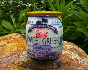 ultra cream ny state sweet greek blueberry yogurt