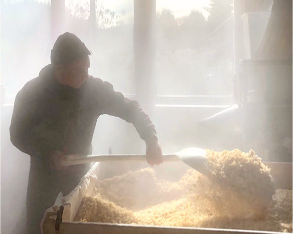 south river miso cooling the rice