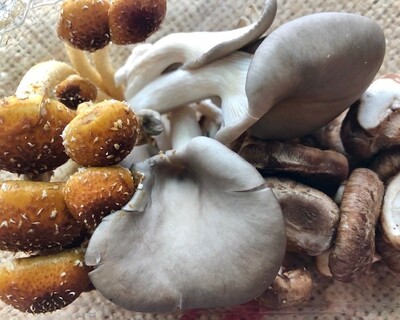 mushrooms medley chestnut shiitake oyster organic