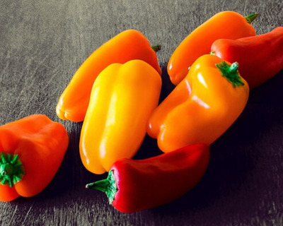 organic vermont grown snacking peppers