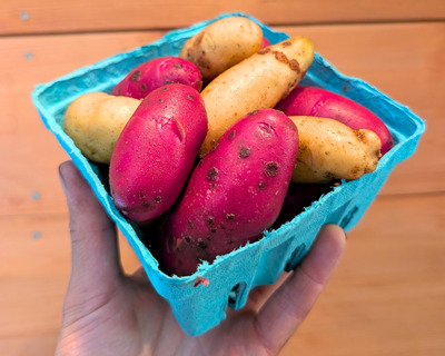 French and banana fingerling potatoes