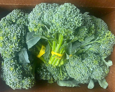 organic mass grown broccolini