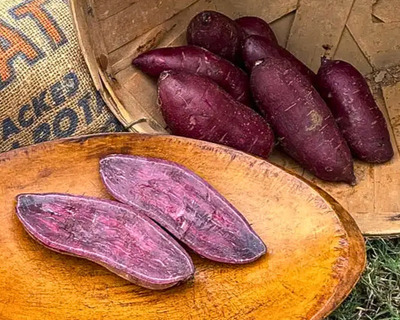 purple sweet potatoes organic vermont