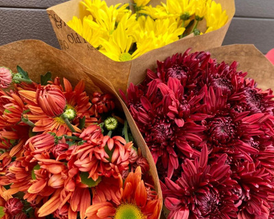 bunches of crysanthemums